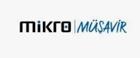 Mikro Müşavir