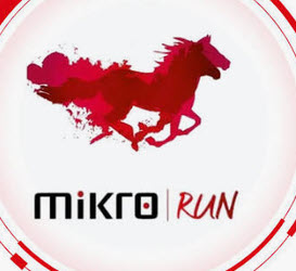 Mikro RUN